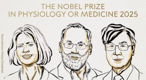 Mary Brunkow, Fred Ramsdell and Shimon Sakaguchi win 2025 Nobel medicine prize