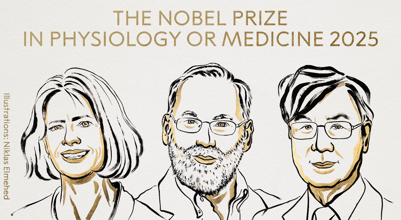 Mary Brunkow, Fred Ramsdell and Shimon Sakaguchi win 2025 Nobel medicine prize