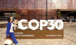 As COP30 gathers, what’s the latest in climate science?
