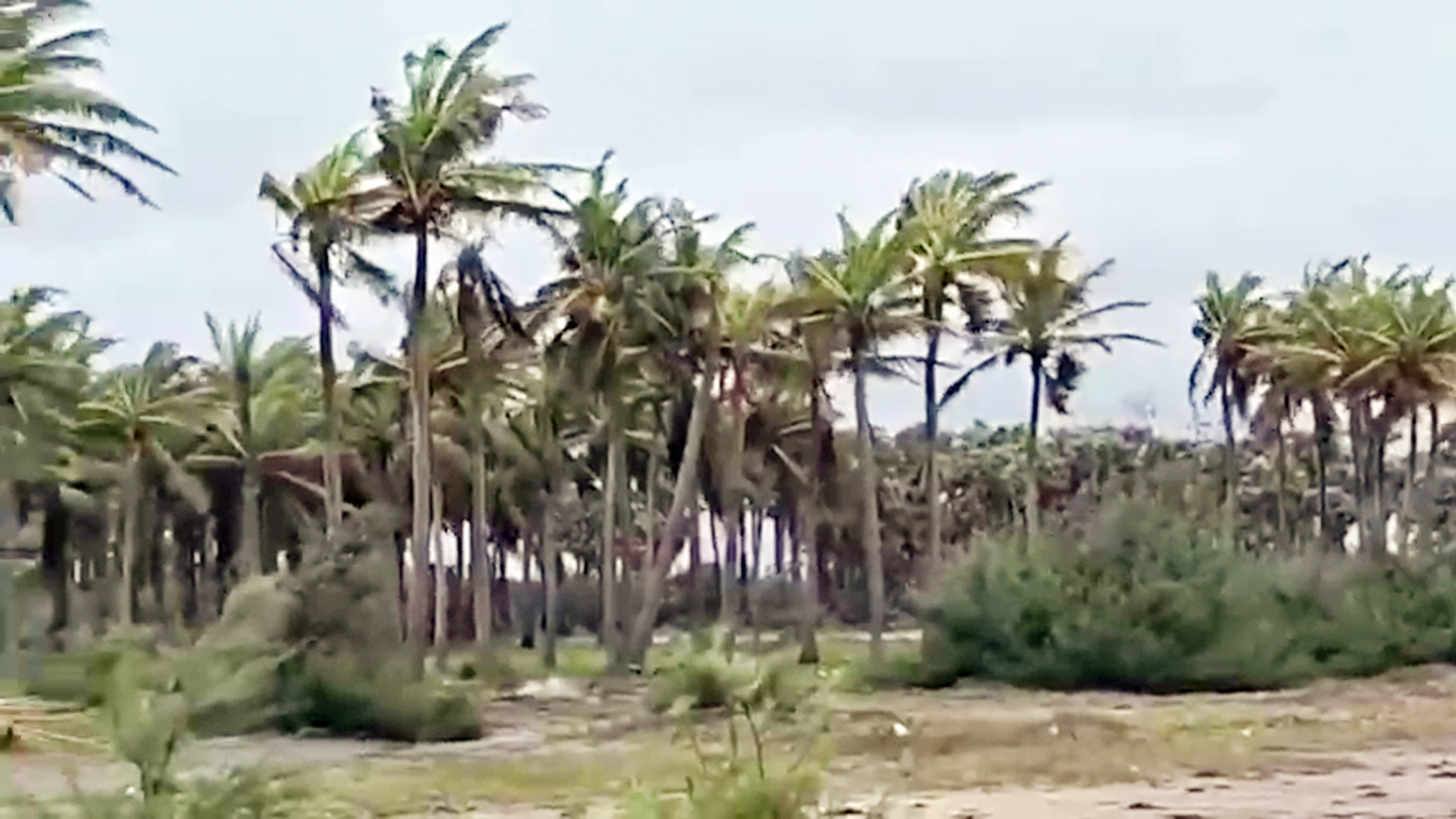 Coastal Andhra Pradesh on alert as Cyclone Ditwah set to intensify rainfall over the next six days