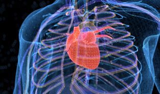 Heart attack risk underestimated in 45% of cases under existing screening methods: Study Heart attack risk underestimated in 45% of cases under existing screening methods: Study