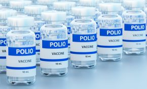 Why has wild polio been found in Germany and what does it mean?