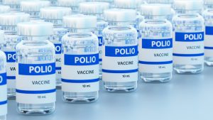 Why has wild polio been found in Germany and what does it mean?