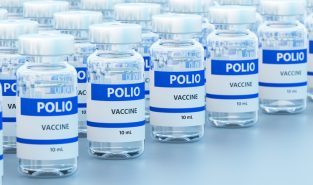 Why has wild polio been found in Germany and what does it mean?