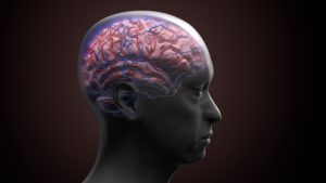 Scientists find brain chemical tied to trauma and depression: Study