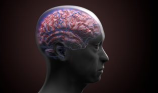 Scientists find brain chemical tied to trauma and depression: Study Scientists find brain chemical tied to trauma and depression: Study