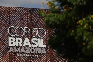 Brazil probes threat to COP30 host city's power grid after deadly Rio raid