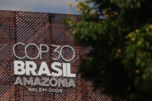 Sao Paulo hosts business leaders as COP30 prepares to launch in Belem