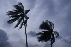 Philippines warns of deadly storm surges as massive Typhoon Fung-wong nears super typhoon strength