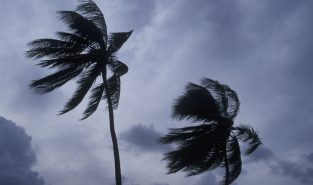 Hurricane Trudy strengthens to Category 2 as it approaches Mexico coast
