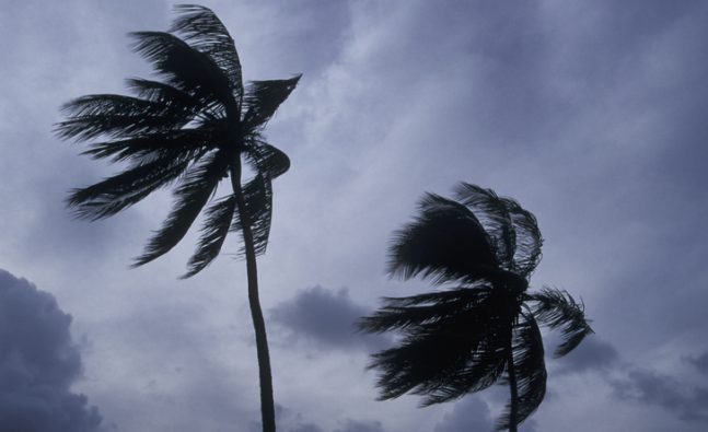 Hurricane Trudy strengthens to Category 2 as it approaches Mexico coast