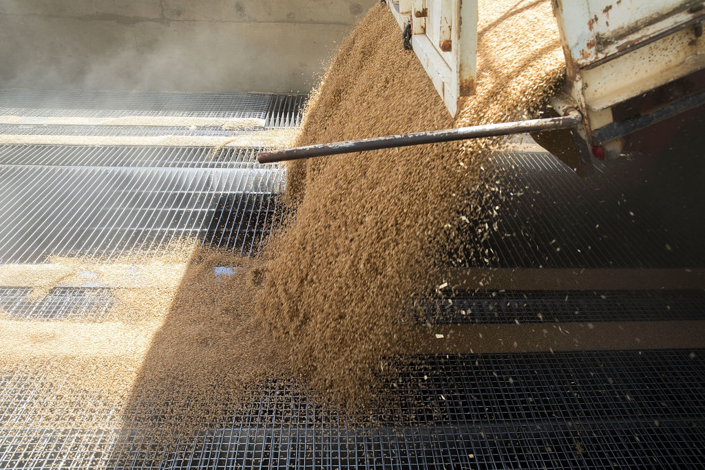 China buys first US wheat cargoes since 2024 after leaders’ meeting, traders say