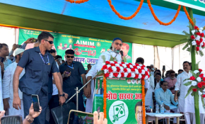 Bihar poll results: AIMIM leads in five seats, all in Seemanchal