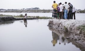 When rivers swallow land: Bangladesh’s endless battle with erosion