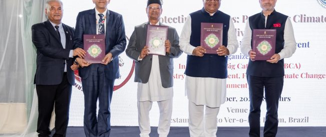 India to host Global Big Cats Summit in 2026, calls for stronger conservation push at COP30