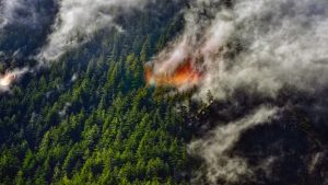 Rain helps tame wildfire in New Zealand's oldest national park