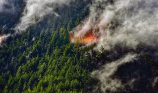 Rain helps tame wildfire in New Zealand’s oldest national park Rain helps tame wildfire in New Zealand’s oldest national park