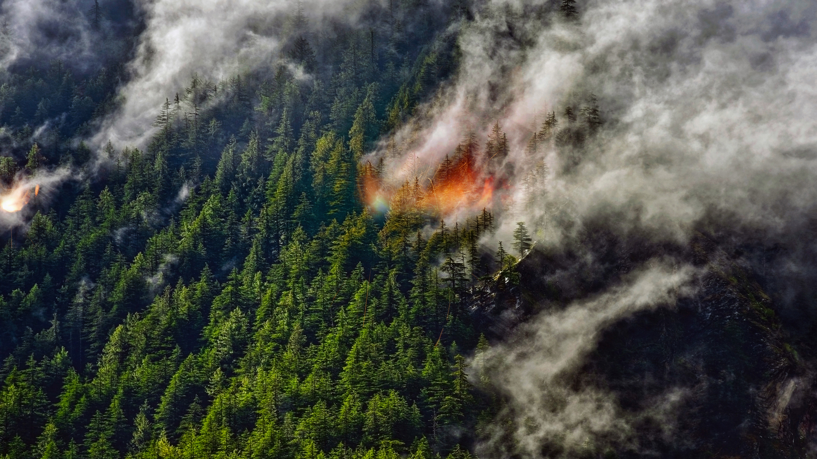 Rain helps tame wildfire in New Zealand’s oldest national park