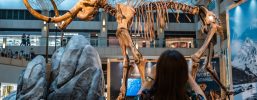 RNA recovered from Siberian mammoth that died 39,000 years ago