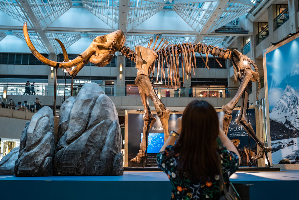 RNA recovered from Siberian mammoth that died 39,000 years ago