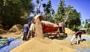Centre paid farmers Rs 3.47 lakh crore in 2024-25 for MSP procurement: Shivraj Singh Chouhan