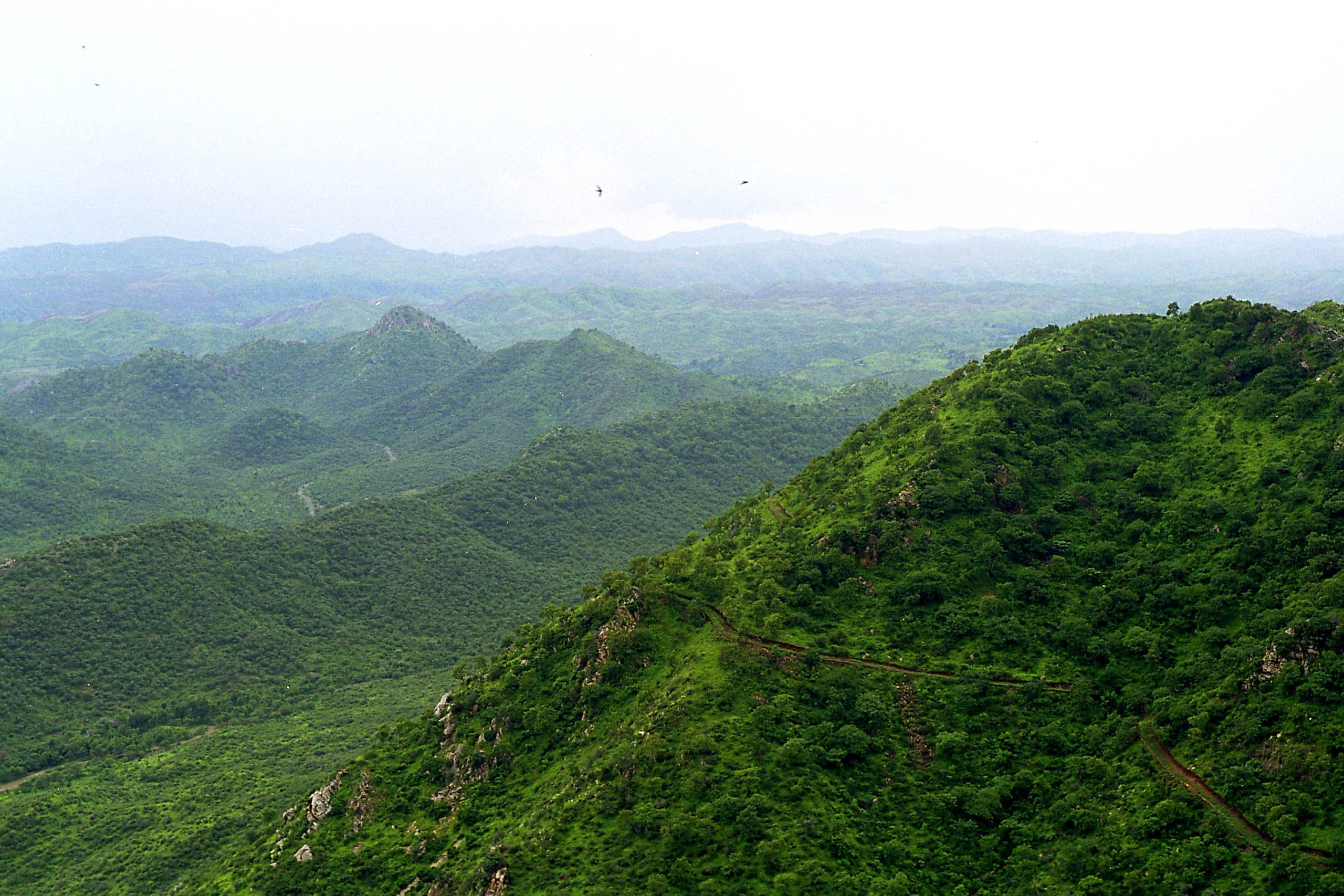 Centre will protect entire Aravallis; no mining leases; protected zone to be expanded