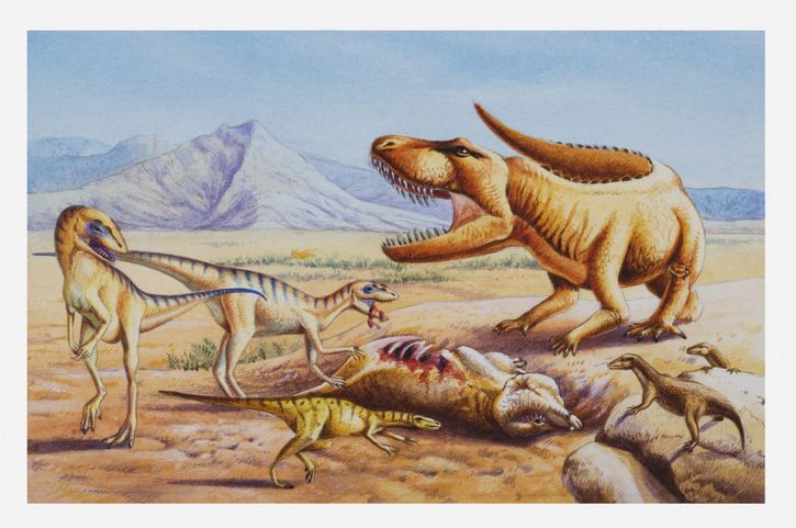 Youngest rhynchosaur ever recorded unveiled in Brazil