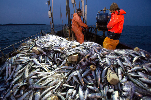 EU countries agree 2026 fishing quotas, avoid tighter Mediterranean curbs