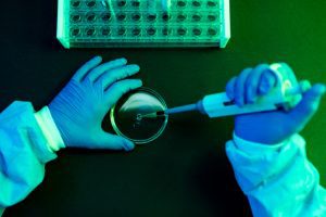 Explainer: How CSIR drove India’s scientific and technological breakthroughs in 2025