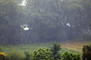 Heavy rain pushes Tamil Nadu Puzhal reservoir to full capacity; high alert issued
