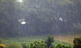 Heavy rain lashes Patna, surrounding areas; thunderstorms, gusty winds to persist