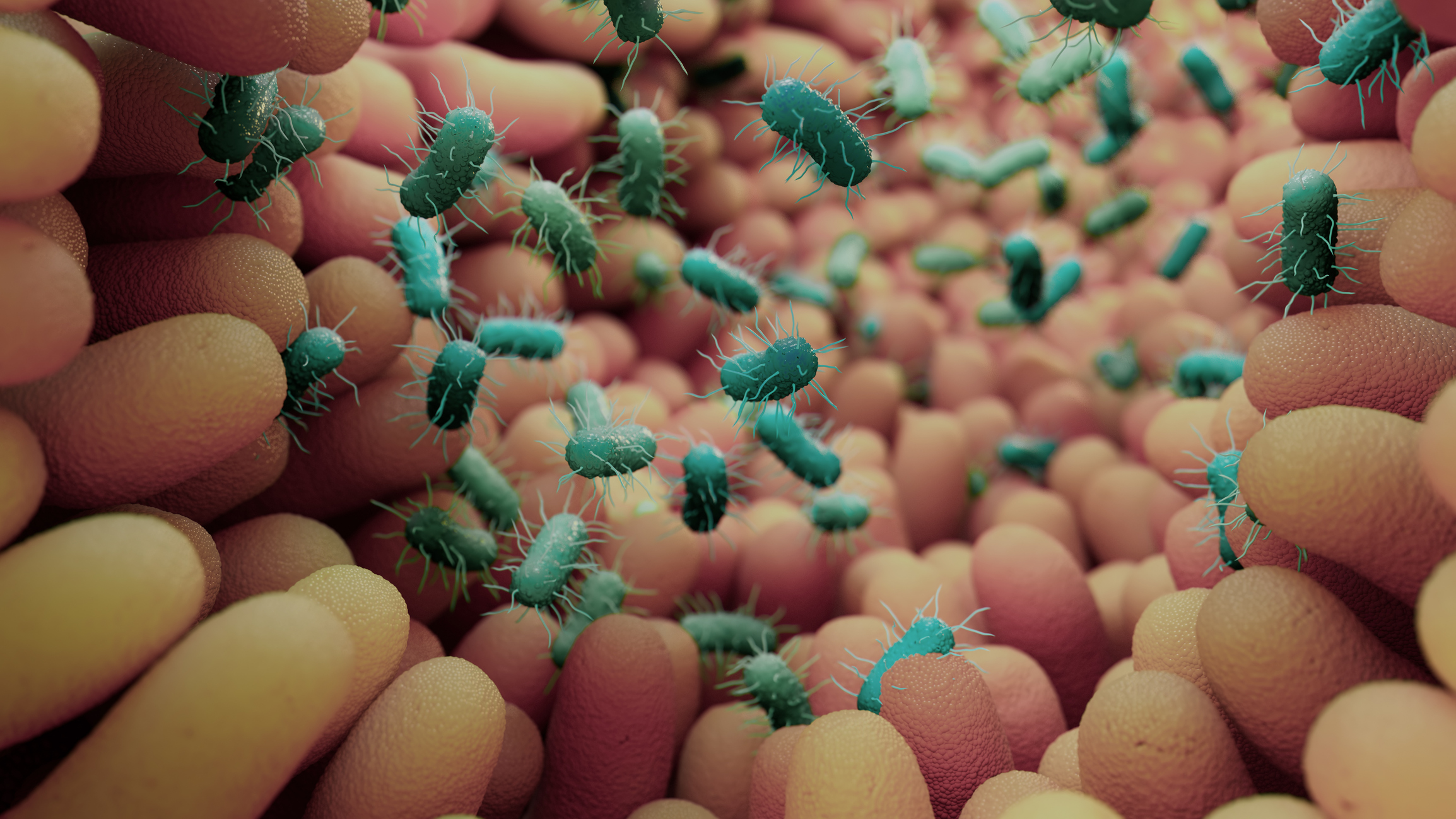 IIT Delhi, AIIMS Develop Ingestible Device to Sample Microbes from Small Intestine