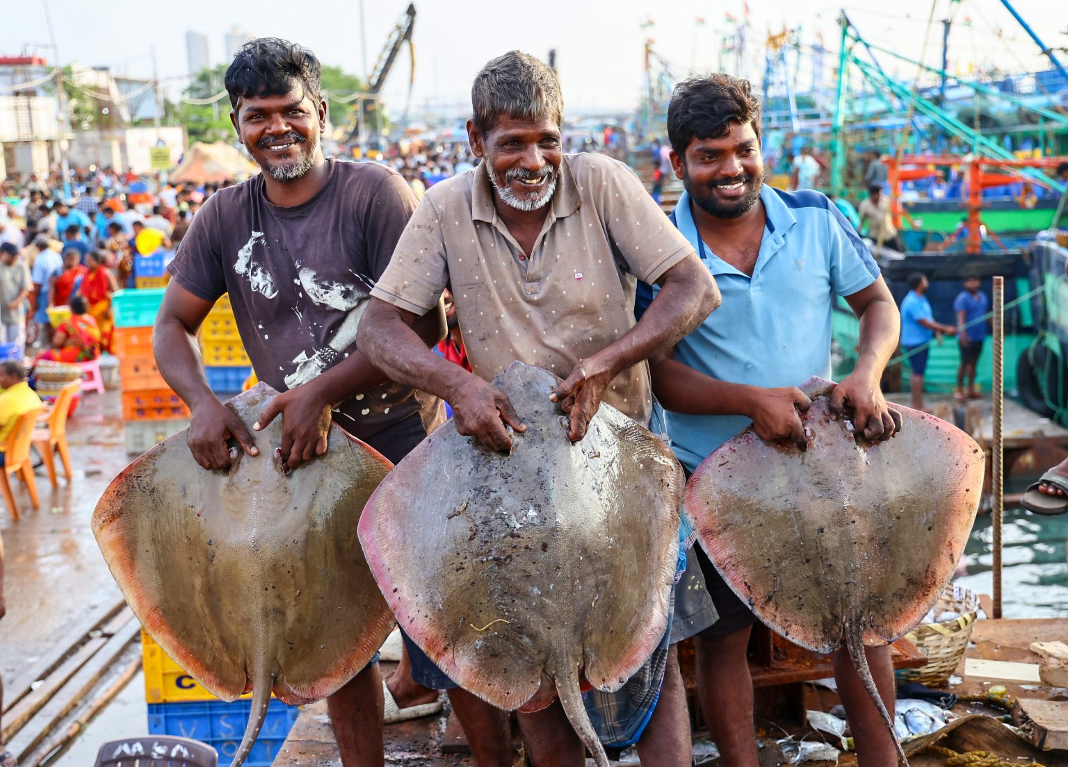 India records 38% growth in fish production since PMMSY launch