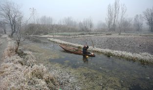 Minimum temperature drops to minus 2.4 in J&K’s Srinagar as cold wave continues