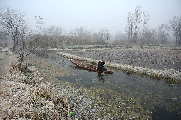 Minimum temperature drops to minus 2.4 in J&K’s Srinagar as cold wave continues