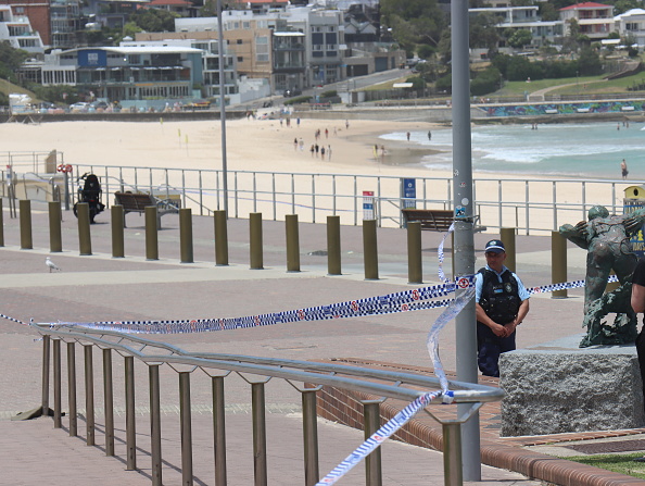 Homemade bombs thrown before Bondi mass shooting, but failed to detonate, police tell court
