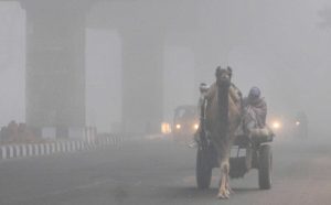 Yellow alert for cold wave in five Rajasthan districts