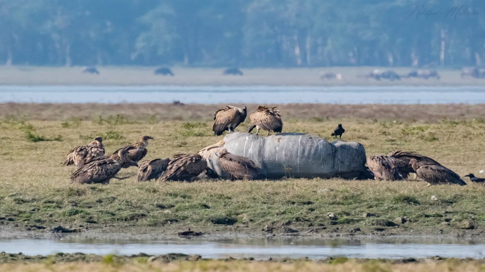 “Kaziranga has seen its highest tourist influx this year”: Assam Minister Atul Bora