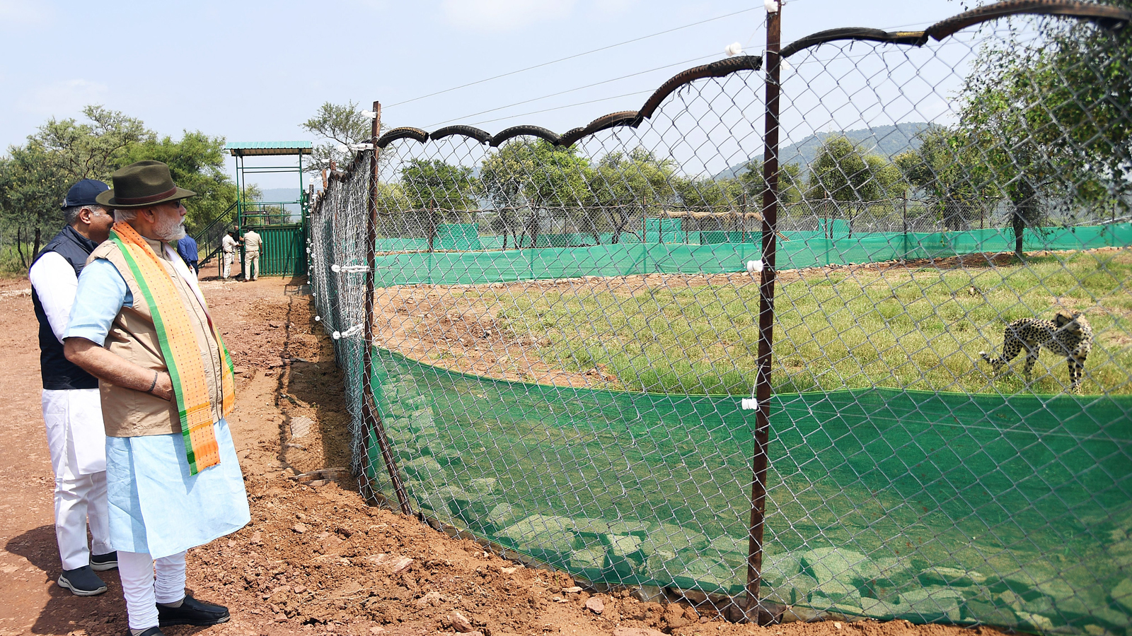 PM Modi hails growing cheetah population, shares article highlighting India’s wildlife conservation efforts