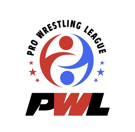 Pro Wrestling League player auctions to be held on Jan 3; organisers unveil six franchises