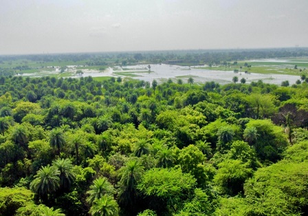 PM Modi delighted as Patna Bird Sanctuary, Chhari-Dhand get Ramsar tag