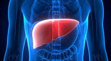 Your mouth bacteria can predict risk of chronic liver disease, says study