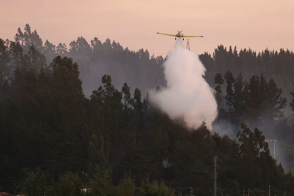 Chile wildfires leave 19 dead amid extreme heat as scores evacuated