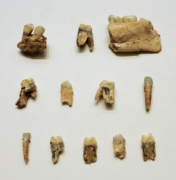 Fossils found in Moroccan cave may be a close Homo sapiens ancestor