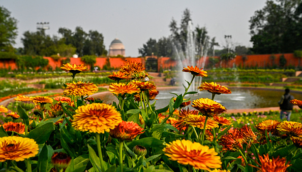 Amrit Udyan to open for public from February 3 to March 31