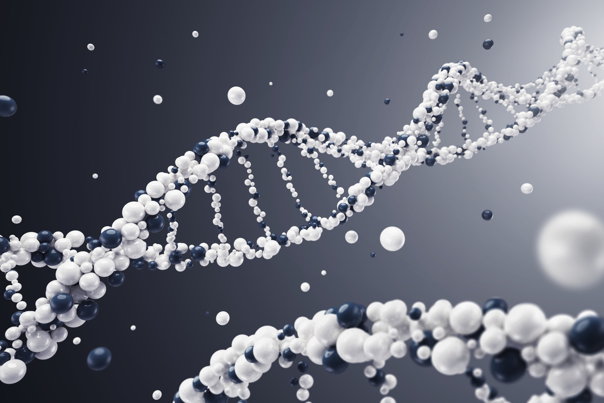 Study finds greater role for genetics in driving human lifespan