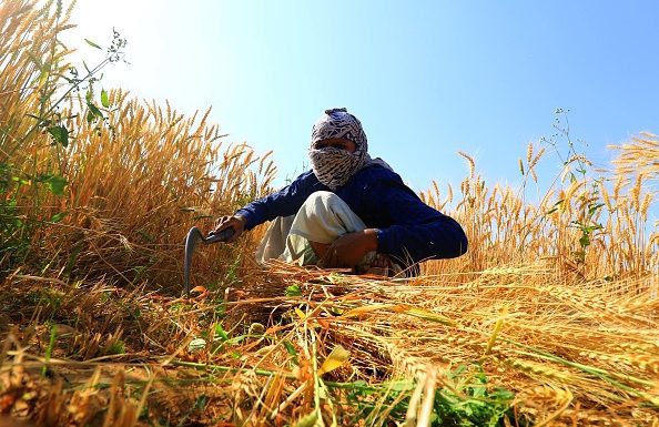 ICAR-IIOR Unveils Smart Seed Coating Technology to Boost Crop Yields and Climate Resilience
