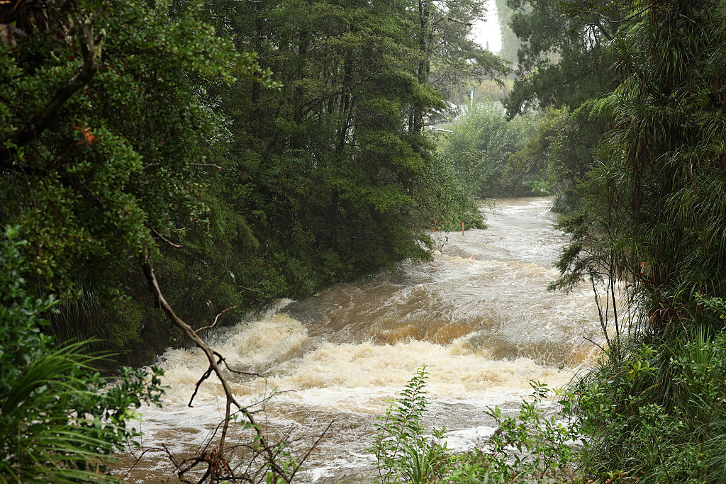 New Zealand rescuers seek landslide survivors as weather havoc kills two