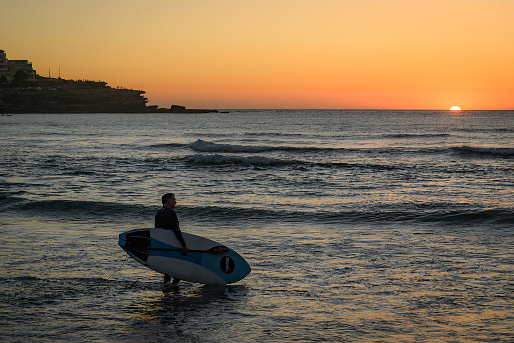 Sydney beaches close after three shark attacks in two days