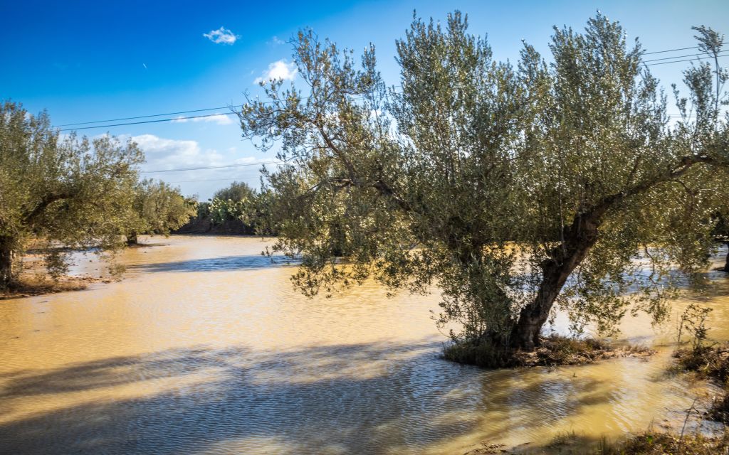 At least four dead as floods sweep across Tunisia